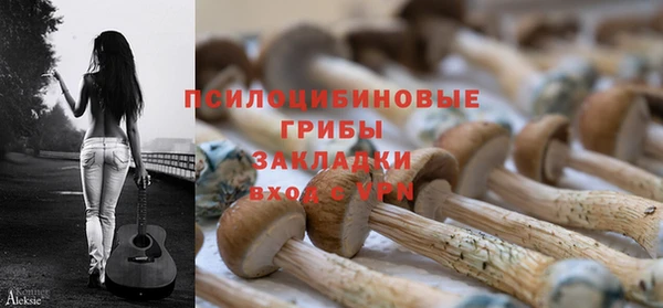 spice Дмитров