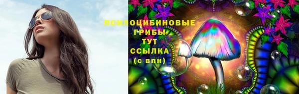 spice Дмитров