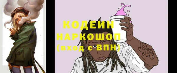 гашик Дмитриев
