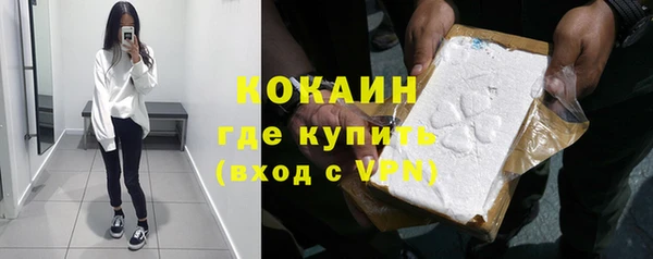 гашик Дмитриев