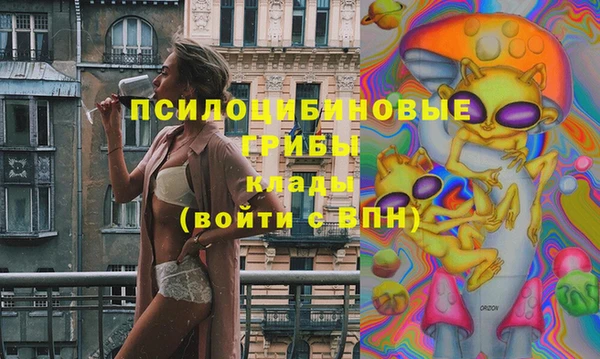 spice Дмитров