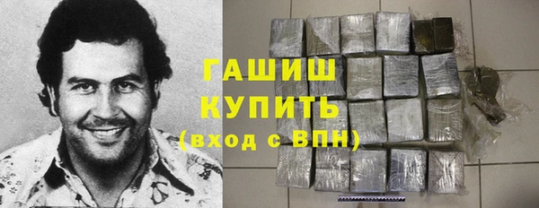 гашик Дмитриев