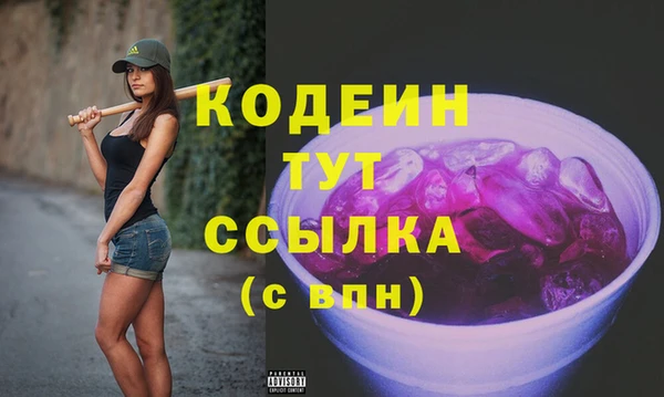 гашик Дмитриев