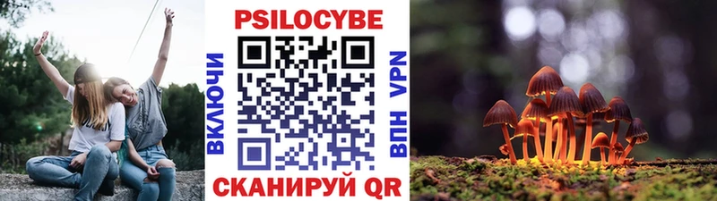 Галлюциногенные грибы Cubensis  Купить где  Смоленск 